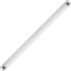 Feit Electric F30T8/CW Cool Fl Bulb